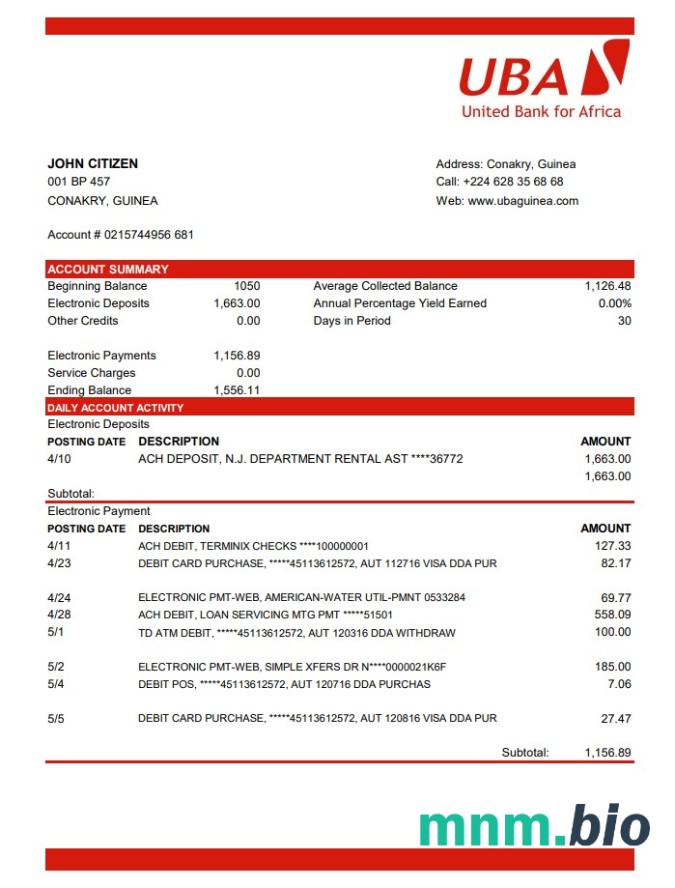 Szablon wyciągu bankowego Guinea Fibank w programie Word i PDF